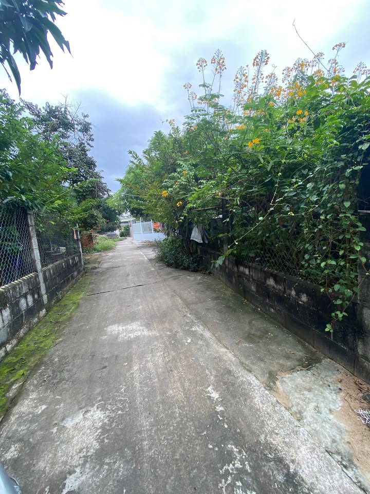 Đất nền hẻm 3m đường Nguyễn Trường Tộ, La Gi 204m² giá 1.2 tỷ - Khu dân cư yên tĩnh!