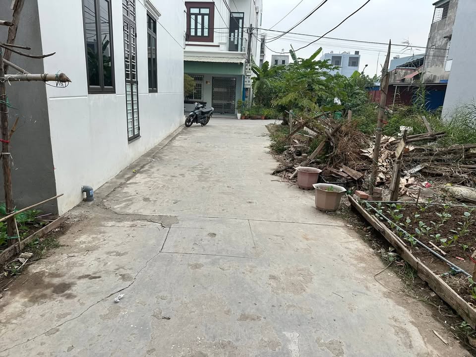 Đất nền Lương Quán, An Dương 50m² chỉ từ 1,35 tỷ - Cơ hội đầu tư tuyệt vời!