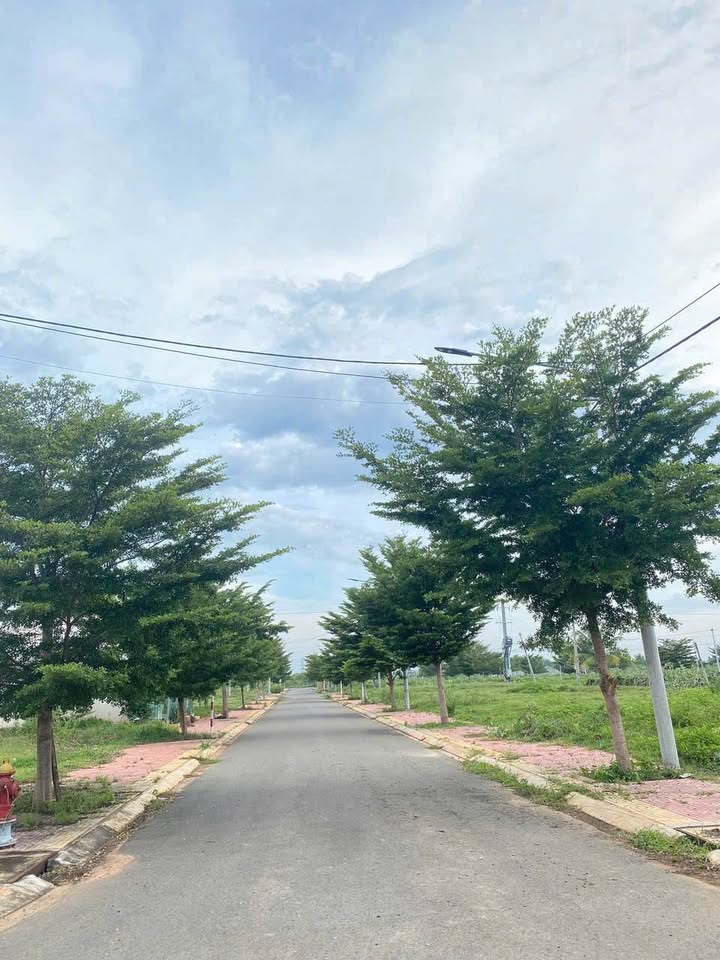 Lô đất thổ cư mặt tiền nhựa 12m phường Hàm Thắng 80m² giá chỉ 600 triệu - Cơ hội đầu tư tốt!