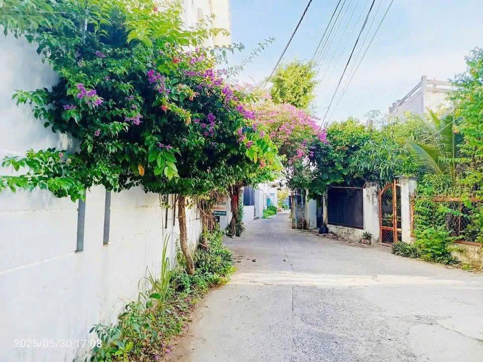 Đất mặt tiền Đặng Văn Lãnh, 351m² giá 3.2 tỷ - Lô góc, giá tốt!