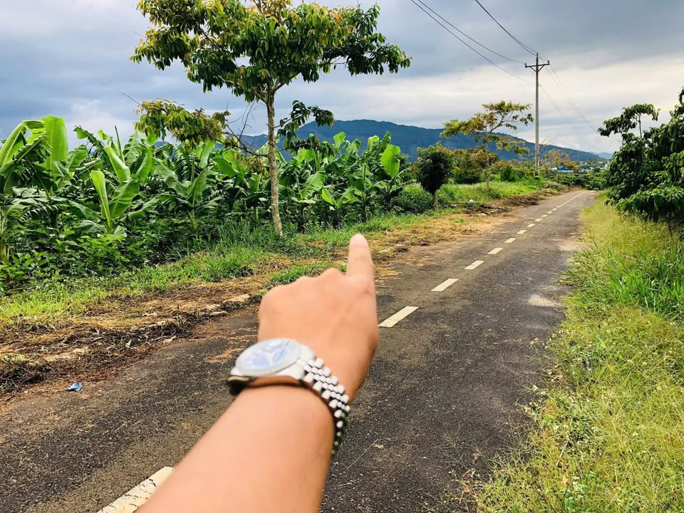 Đất Lộc Nga Bảo Lộc 594m² giá chỉ 998 triệu - Cơ hội đầu tư tuyệt vời!