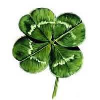 Đất nền Phước Thới Ô Môn Cần Thơ 30.000m² giá 2 tỷ - Đầu tư sinh lời ngay!