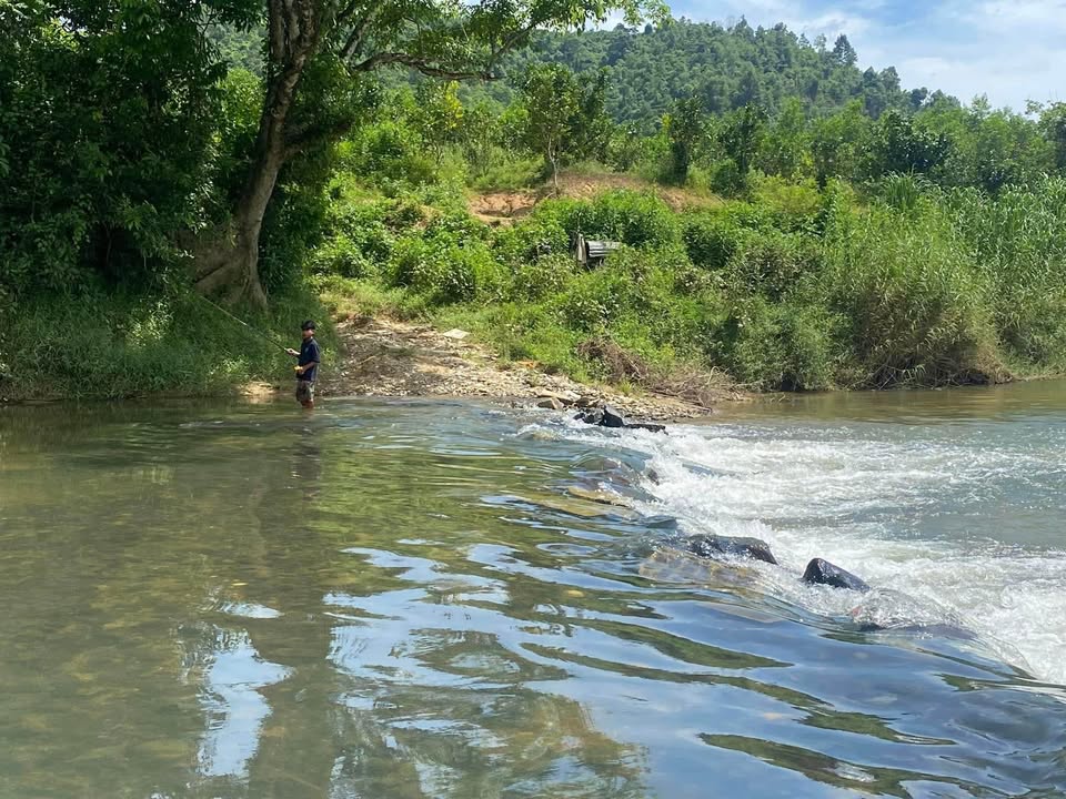 Đất vườn Khánh Phú 7300m² giá 2 tỷ - Tiềm năng homestay bên suối