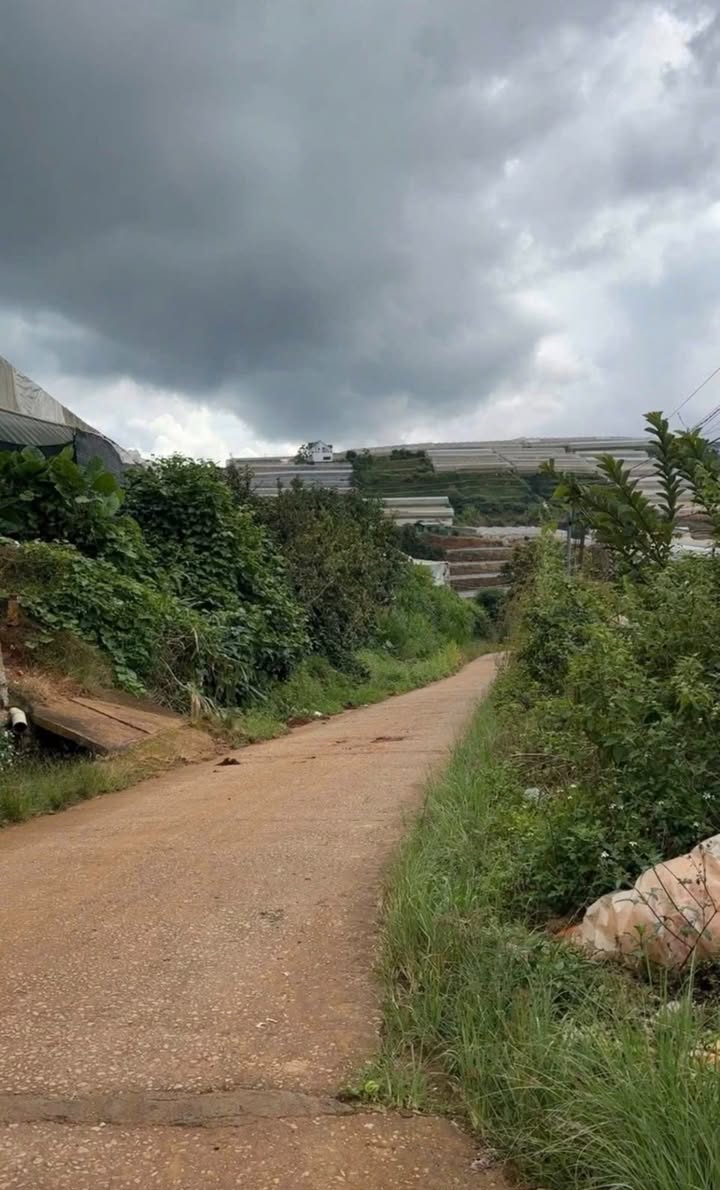 Đất nền Đá Quý Xuân Thọ Đà Lạt 1670m² giá chỉ 5.9 tỷ - View đẹp không bị khuất!