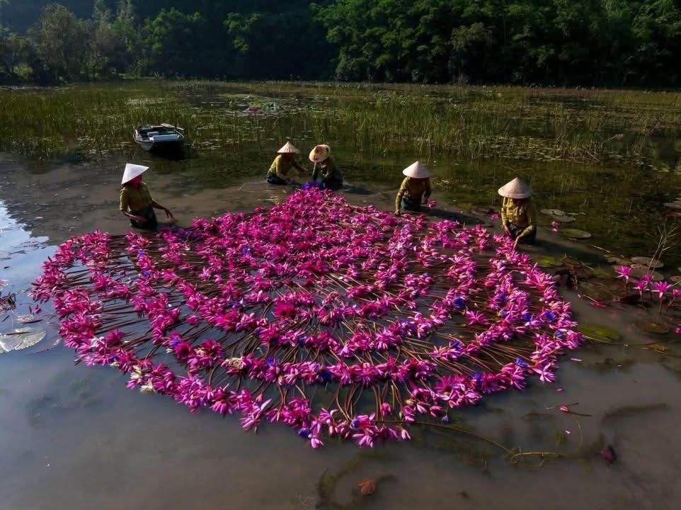 Đất nền biệt thự Khu đô thị Hà Mỹ Hưng 436m² giá 15 tỷ - Sổ hồng chính chủ!