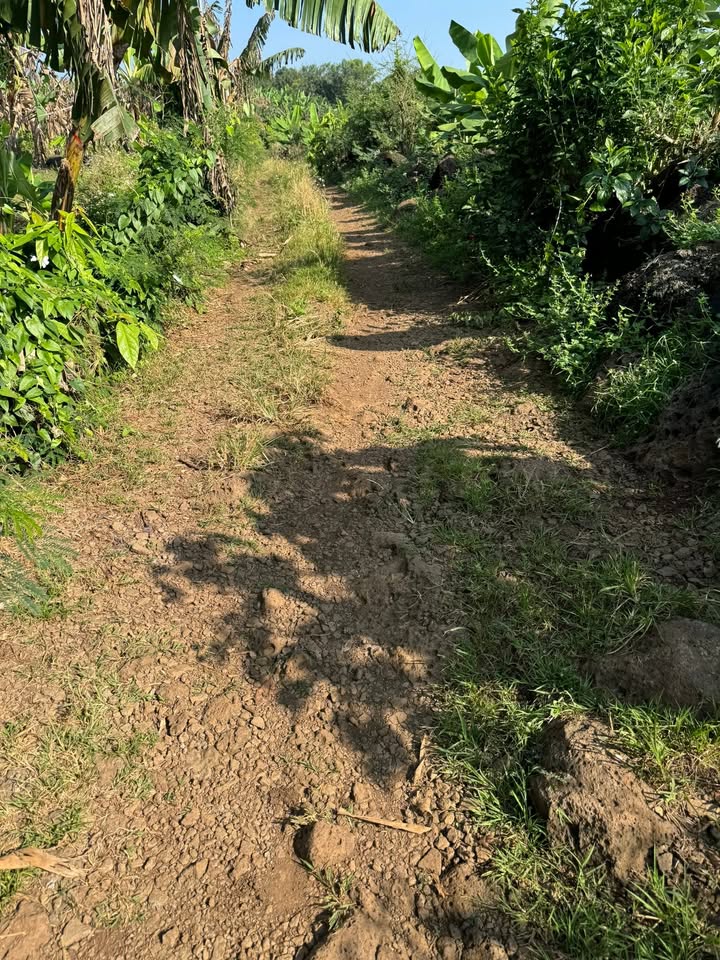 Đất nền xã Gia Kiệm, huyện Thống Nhất, 1,3 ha giá chỉ 12,3 tỷ - Cơ hội đầu tư lý tưởng!