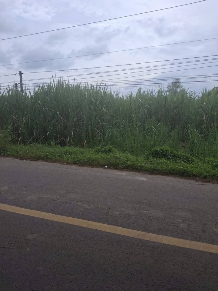 Đất 2 mặt tiền đường HL11B, Tây Ninh 1540m² giá 110 triệu - Cơ hội đầu tư tuyệt vời!