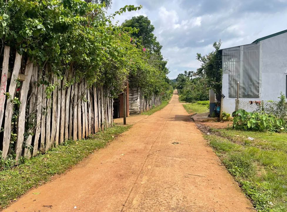 Đất nền Tân Lập Buôn Ma Thuột 375m² giá 4.2 tỷ - Đầu tư sinh lời ngay!