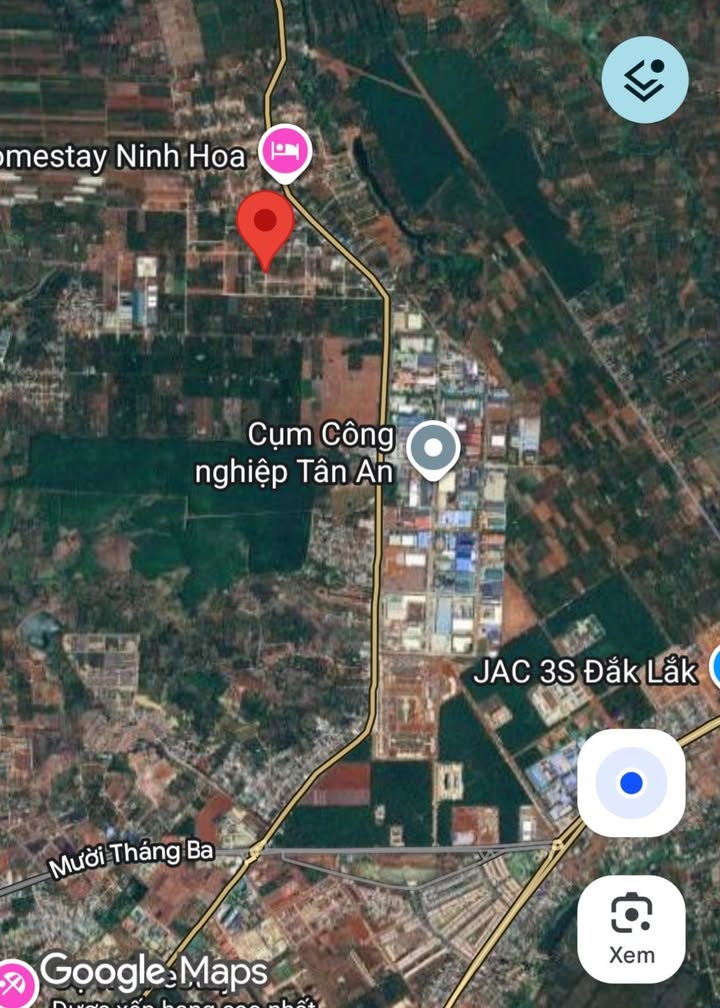 Đất nền chính chủ Cư Suê 125m² giá 1.35 tỷ - Đầu tư sinh lời lý tưởng!