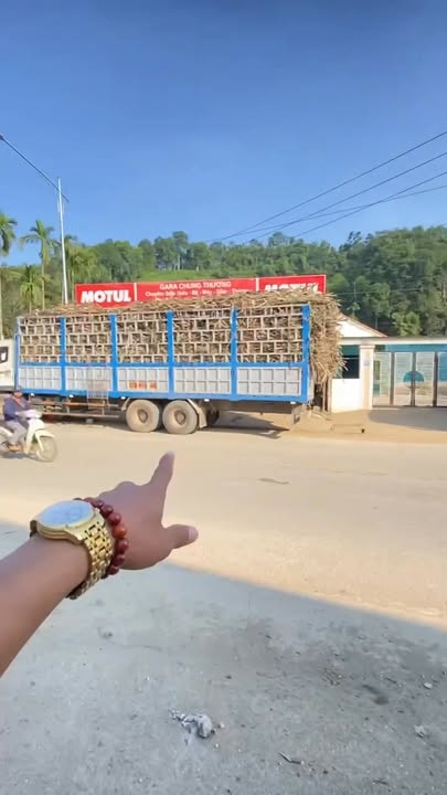 Đất nền Tân Kỳ 216m² giá 3 tỷ - Vị trí đắc địa gần Quốc lộ 15A!