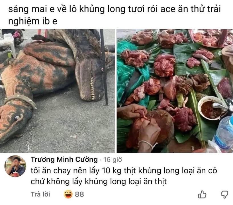Nhà liền kề góc vườn hoa tại KĐT Thanh Hà Cienco - Thiết kế hiện đại, giá cho thuê thỏa thuận!