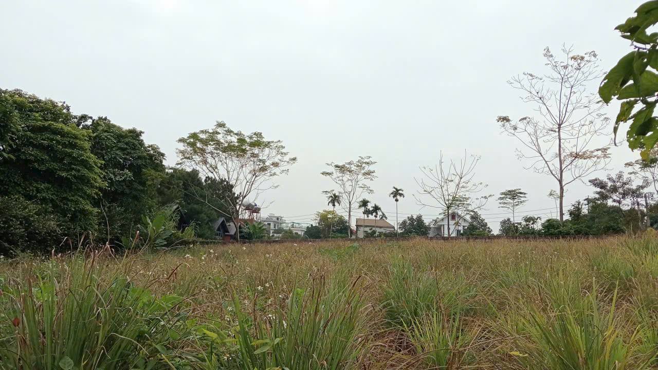 Đất Vân Hòa Ba Vì 563m² giá thỏa thuận - Đầu tư tiềm năng sinh lời!