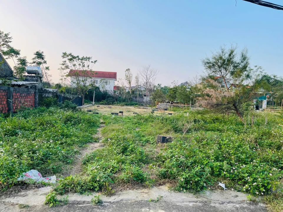 Đất nền xóm 9, xã Nghi Phong 102,5m² giá 2,1 tỷ - Đường ô tô rộng rãi!