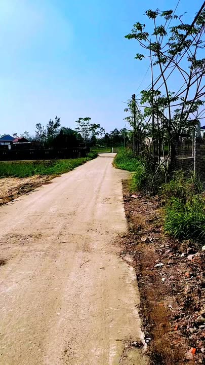 Đất Nghi Thạch, Nghi Lộc 217m² giá 3 tỷ - Cơ hội đầu tư tuyệt vời!