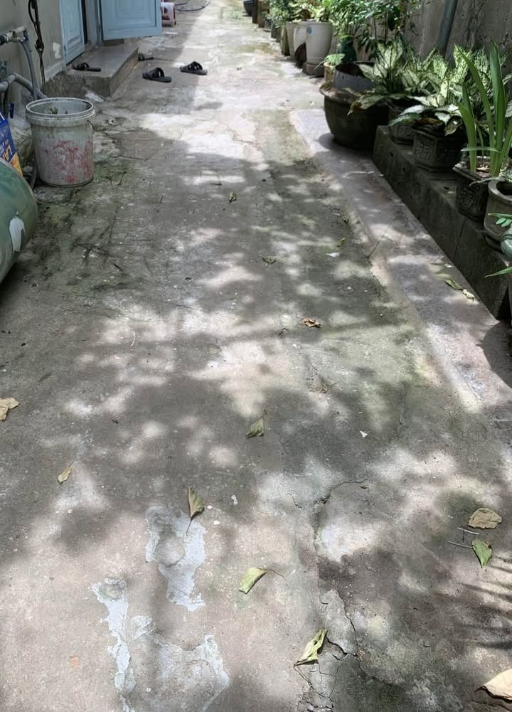 Đất nền đường Nguyễn Đình Tứ, 131m² chỉ 1 tỷ - Cơ hội đầu tư không thể bỏ lỡ!