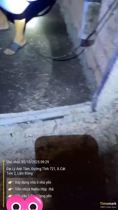 Nhà bán Bù Đăng, Bình Phước 100m² giá 2 tỷ - Đầu tư sinh lời từ tổ yến!