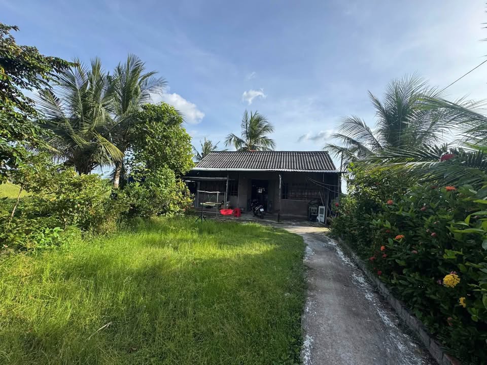 Đất nền 10.756m² tại Hồ Thị Kỷ, Cà Mau - Giá chỉ 1,2 tỷ, đầu tư sinh lời!