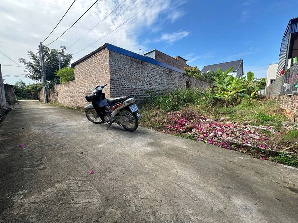 Đất nền Hiền Ninh, Sóc Sơn, 113m² giá 3 tỷ - Sổ đỏ chính chủ ngay trung tâm!