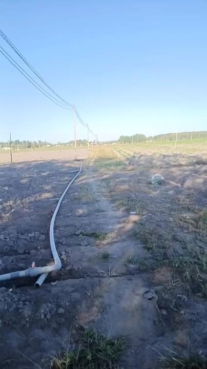 Đất nền 19.000m² Tân Hội, Tân Châu, Tây Ninh - Giá chỉ 1,25 tỷ!