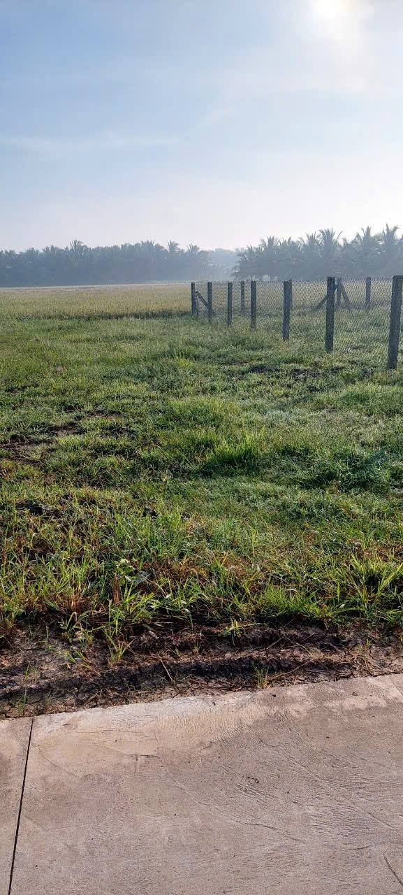 Đất nền Thạnh Nhựt Gò Công Tây 144m² giá 299 triệu - Sổ đỏ chính chủ, bớt lộc!