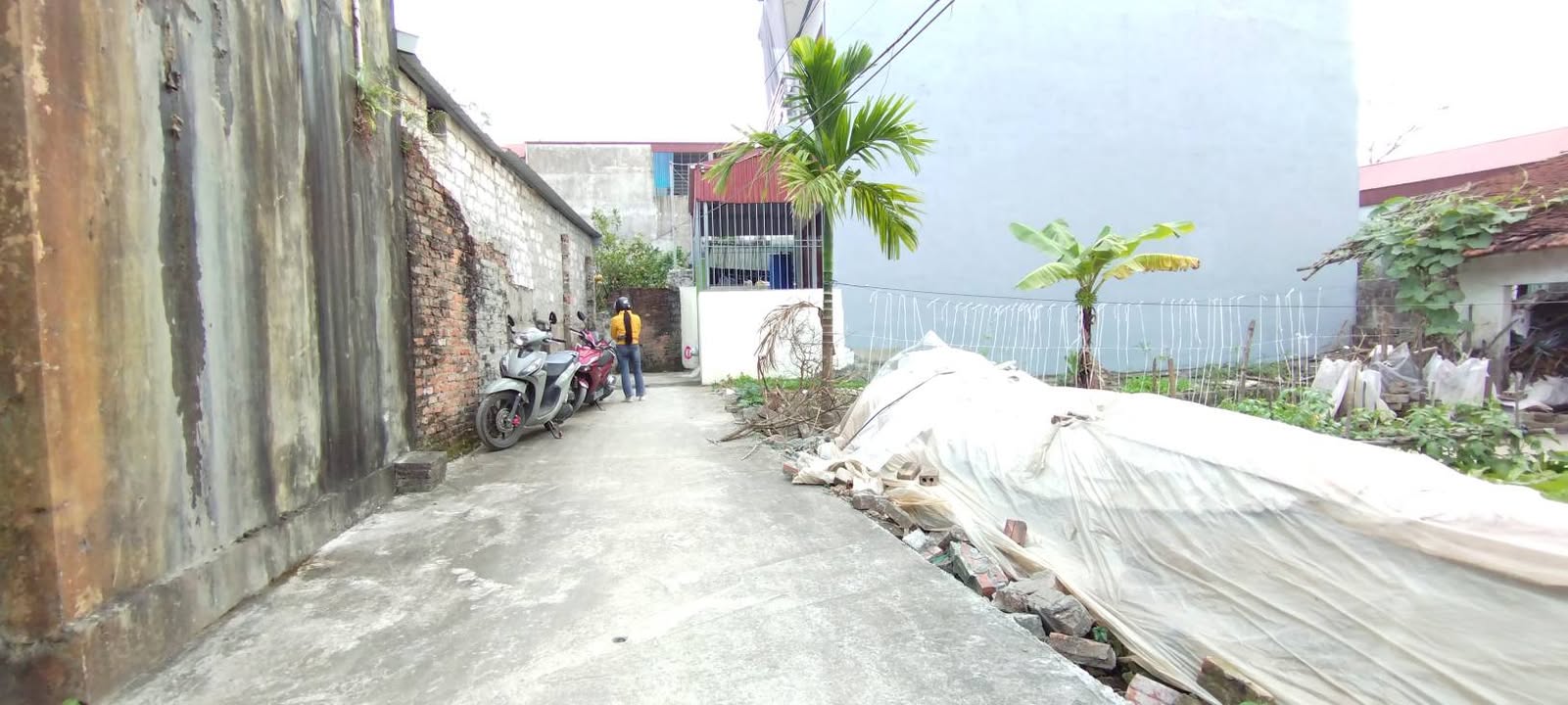 Bán đất Trường Thịnh, Ứng Hòa 75m² - Đầu tư sinh lời hấp dẫn!