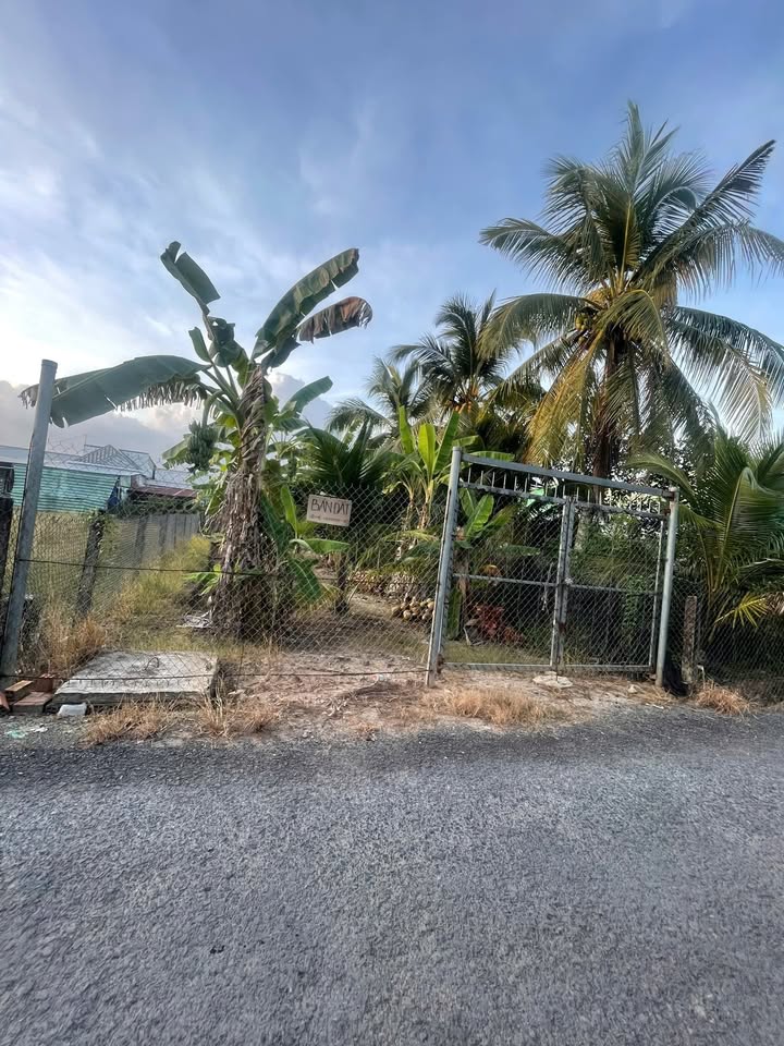 Đất vườn Phước Hậu Vĩnh Long 2200m² giá 11 tỷ - Thích hợp nghỉ dưỡng