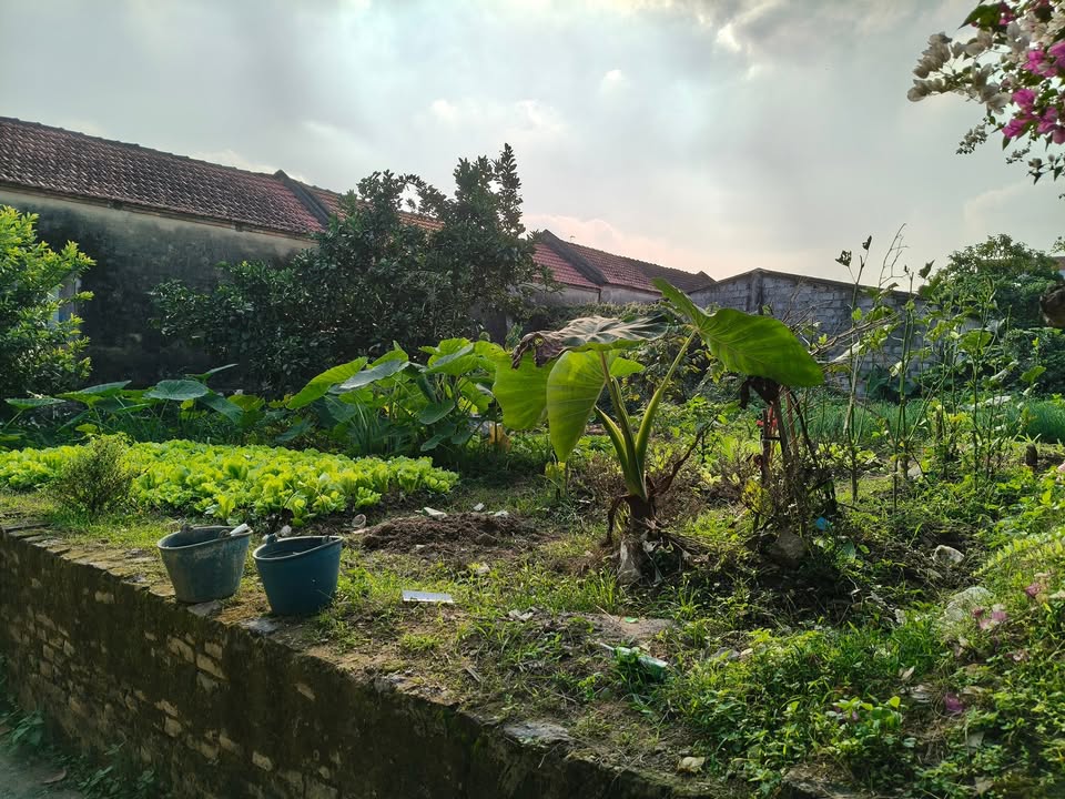 Đất thổ cư xã Minh Tân, Vụ Bản 257m² giá thỏa thuận - Cơ hội đầu tư hấp dẫn!