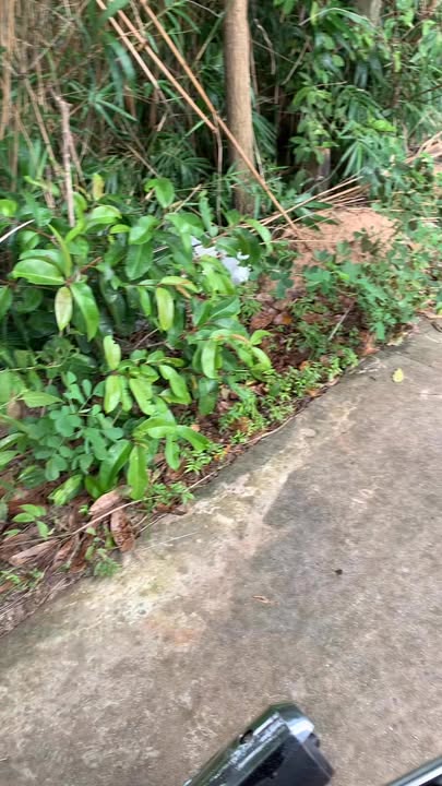 Đất thổ cư Tân Phong, Tân Biên 851m² giá 1.45 tỷ - Đường nhựa thông thoáng, dân cư đông đúc!