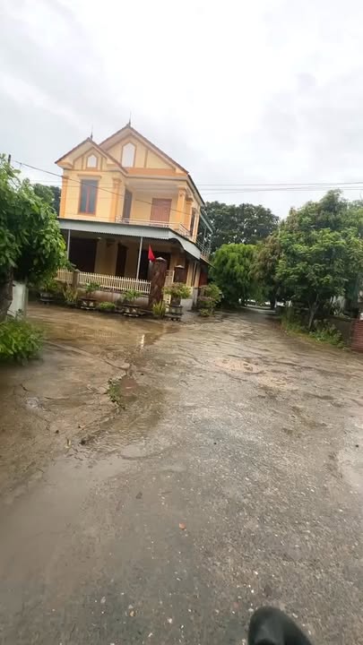 Đất nền Nghĩa Lâm 368m² giá 1xxx - Vị trí trung tâm, pháp lý rõ ràng!