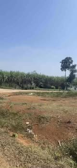 Đất Xóm Bình Hải - Nghĩa Bình, Nghĩa Đàn 185m² giá chỉ 4xx triệu - Cơ hội đầu tư tuyệt vời!