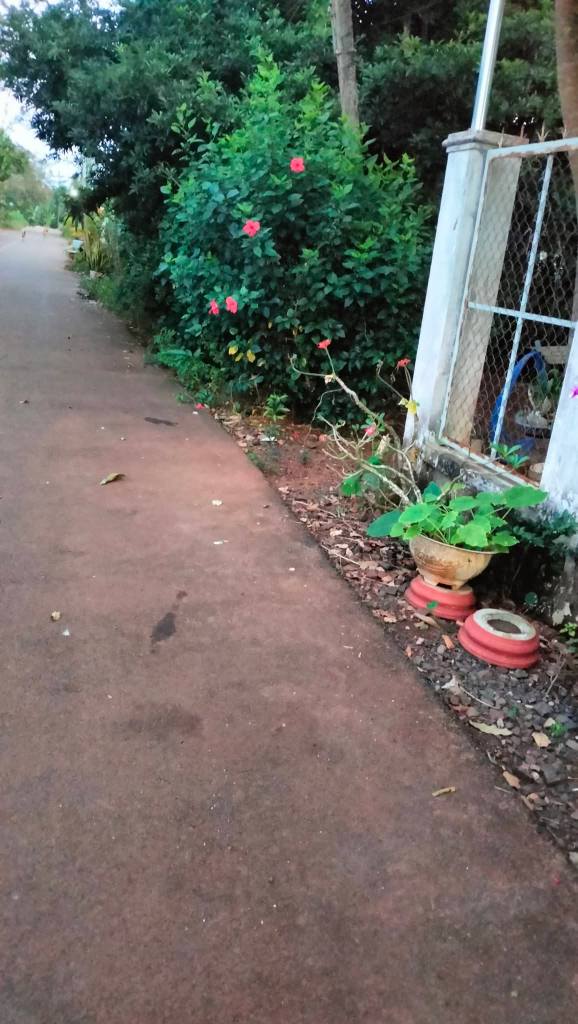 Đất nền xã Hòa Hưng, Xuyên Mộc 2800m² giá 900 triệu - Cơ hội đầu tư hấp dẫn!