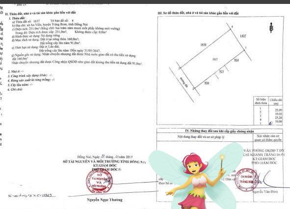 Đất nền An Viễn Trảng Bom 250m² giá 2.2 tỷ - Pháp lý rõ ràng, tiềm năng đầu tư cao!