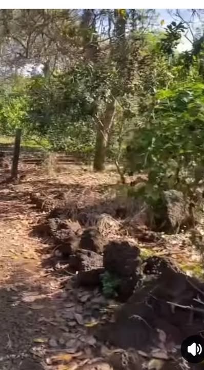 Đất bán tại Phú Lộc, Tân Phú 7200m² giá 1.08 tỷ - Đầu tư sinh lời ngay!