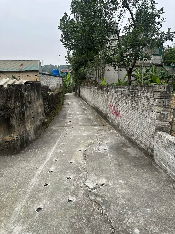 Đất thổ cư Tân Thanh, Thanh Liêm 74m² - Vị trí đắc địa gần trường học!