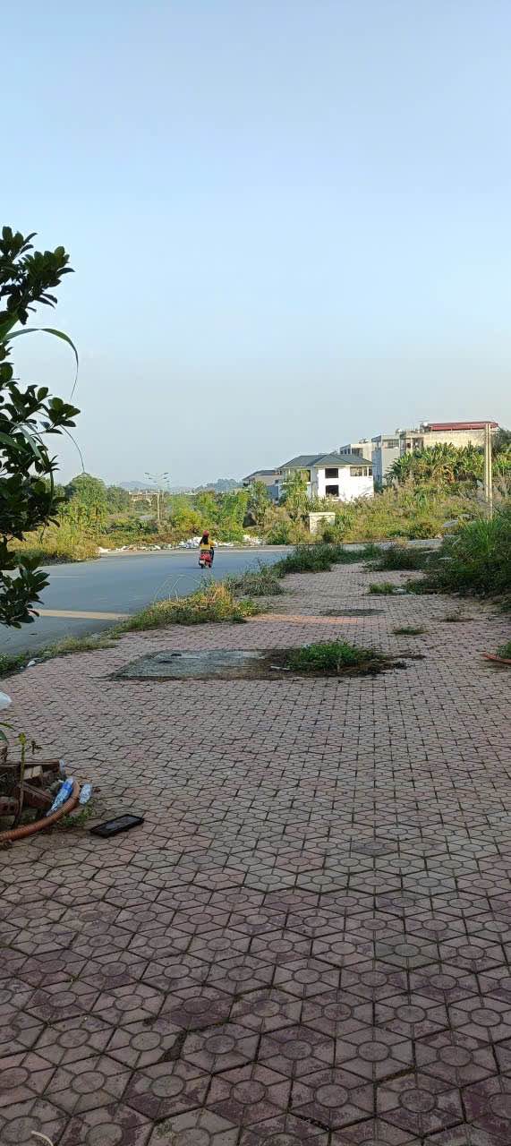 Đất nền Khu đô thị Minh Đức Lào Cai 82.5m² giá chỉ 1.6 tỷ - Cơ hội đầu tư hấp dẫn!