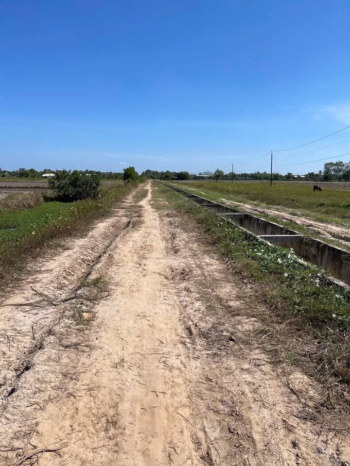 Đất nền Tân Phong Tân Biên 5000m² giá 405 triệu - Cơ hội đầu tư sinh lời!