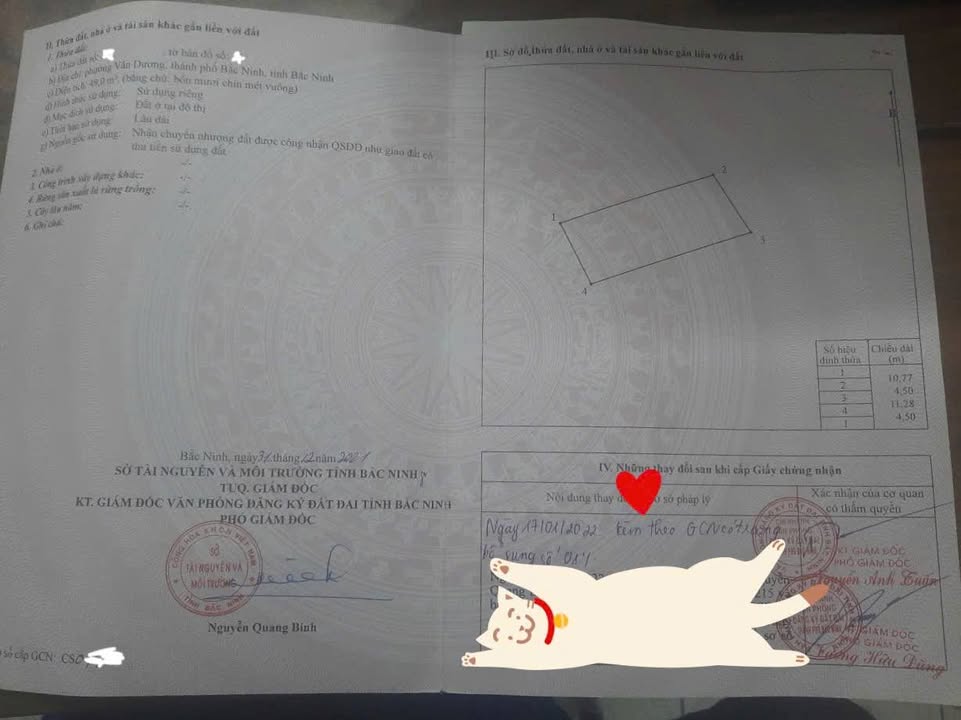 Đất nền Vân Dương Bắc Ninh 49m² giá 1 tỷ - Hướng Đông Bắc, ô tô vào tận nhà!