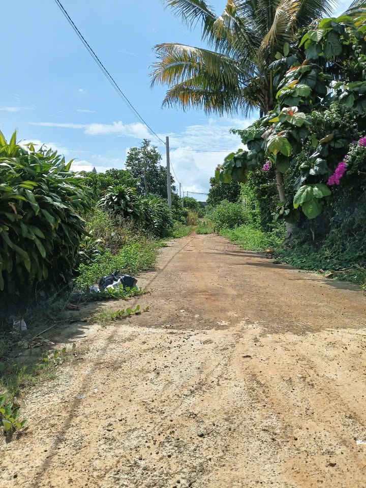 Đất nền Lộc An Bảo Lâm 120m² giá chỉ 560 triệu - Cơ hội đầu tư hấp dẫn!