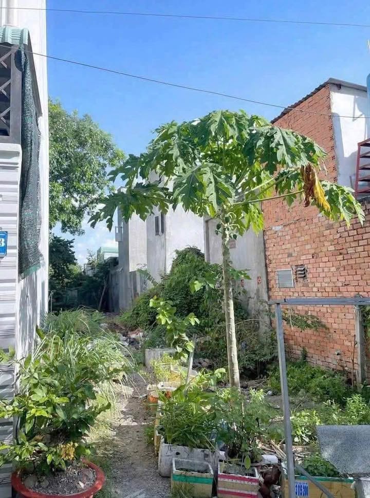 Lô đất 152m² đường Đặng Văn Mây, Dĩ An chỉ 2.7 tỷ - Sổ riêng, thổ cư!