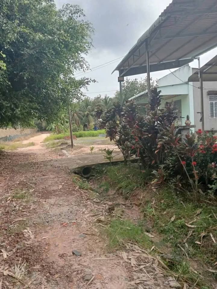 Đất Hảo Đước Châu Thành 677m² giá 2.01 tỷ - Cơ hội đầu tư tuyệt vời!