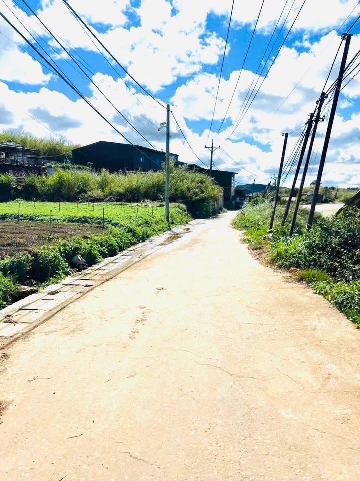 Đất nền Đà Lạt 1650m² giá 14 tỷ - Cơ hội đầu tư hấp dẫn!