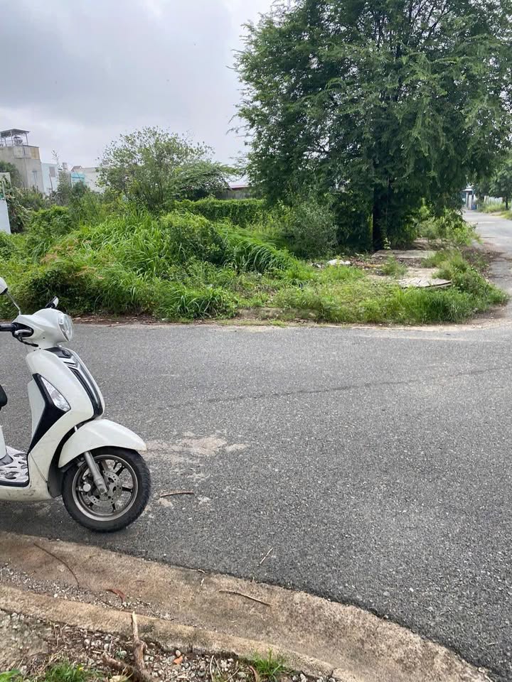 Đất Biệt Thự Hiệp Bình Phước 240m² giá 12.6 tỷ - Đầu tư sinh lời tiềm năng!