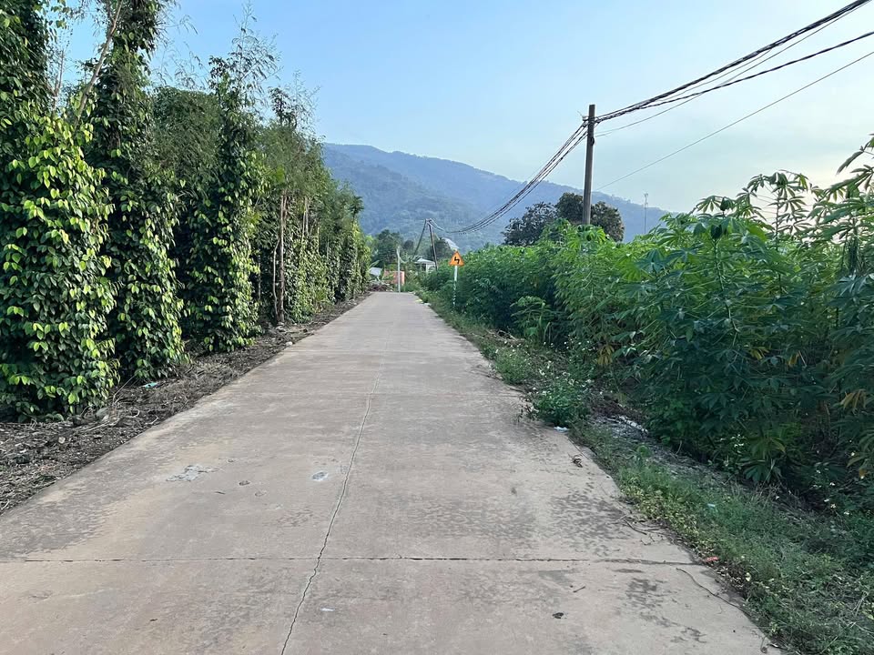 Đất thổ cư Suối Cao Xuân Lộc 231m² giá 590 triệu - Cơ hội đầu tư hấp dẫn!