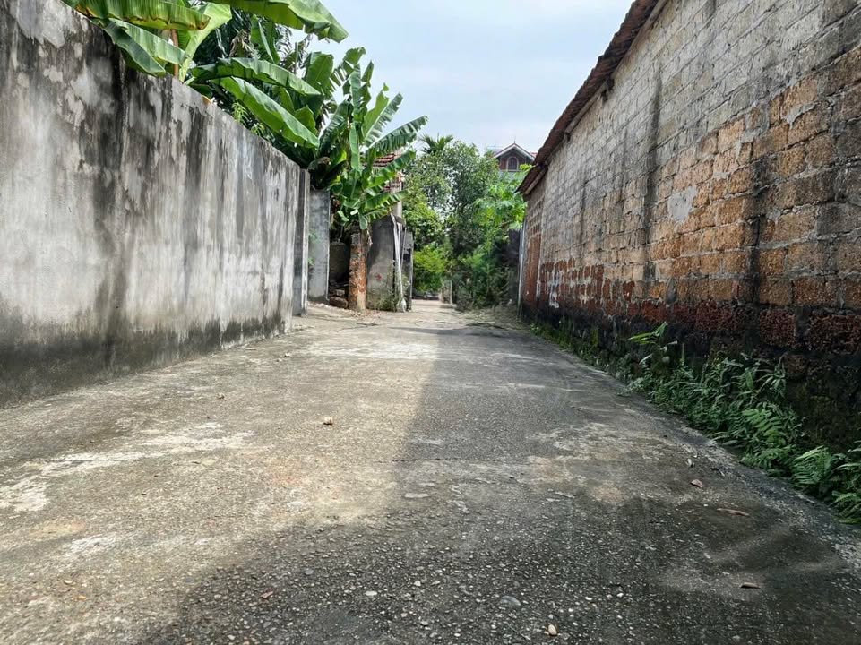 Đất thổ cư 300m² tại Sơn Đông, Sơn Tây - Giá đầu tư hấp dẫn!