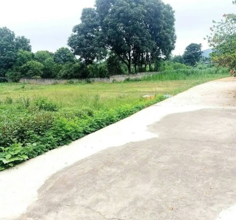 Đất thổ cư 630m² tại xã Phục Linh, Đại Từ - Giá chỉ vài trăm triệu!