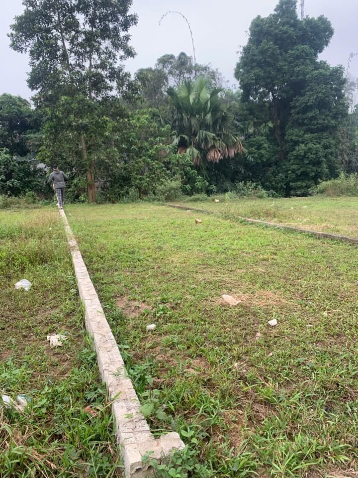 Đất nền đường Nghĩa Phương, Trấn Yên 95m² giá 1.05 tỷ - Đầu tư sinh lời trong tầm tay!