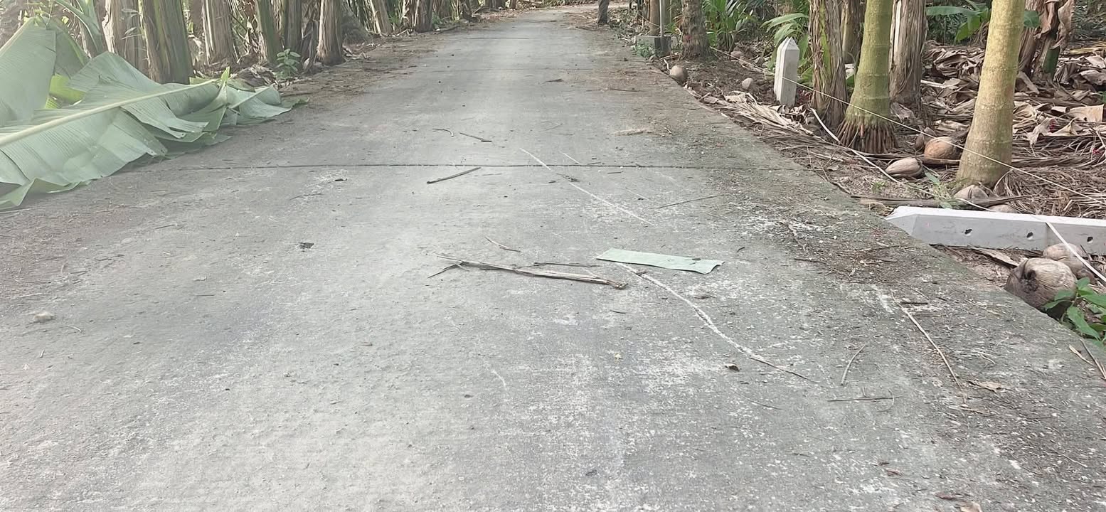 Đất nền Long Đức 540m² giá thỏa thuận - Ô tô vào tận nơi, view kênh thoáng mát!