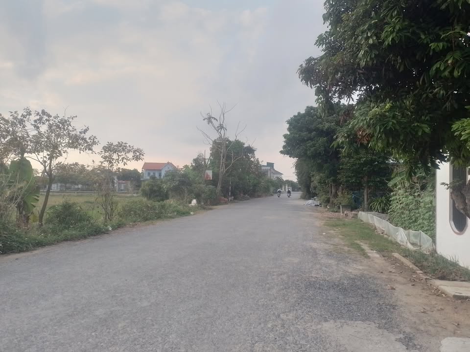 Đất thổ cư 318m² đường Thanh Tân - Tiện xây biệt thự nhà vườn chỉ 1 tỷ!