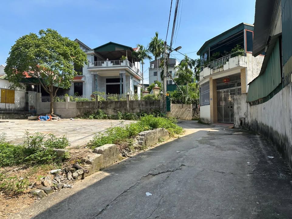 Đất nền Hà Khẩu 99m² giá 1 tỷ - Đối diện Mixue, cơ hội đầu tư hấp dẫn!