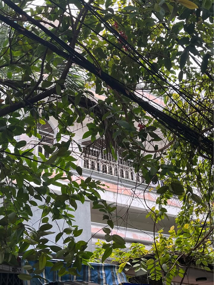 Nhà riêng đường Bắc Đẩu, Hải Châu 113m² giá 7 tỷ - Tiềm năng cho thuê Homestay cao!